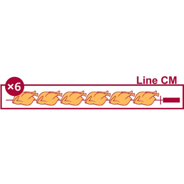 Rôtissoire gaz 4 broches (24 poulets) (RVG/4-CM) – Image 2