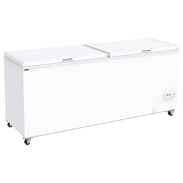 Congélateur bahut 655 litres (SCO66-C6)